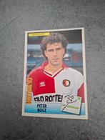 Panini sticker Voetbal 93. Speler Peter Bosz Feyenoord., Verzenden, Zo goed als nieuw, Sticker