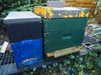 2 CARNICA f1  Bijenvolken in Segenberger kasten, Dieren en Toebehoren, Bijen