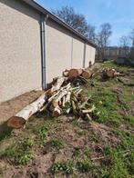 Brandhout: Stammen en takken, Tuin en Terras, Haardhout, 6 m³ of meer, Ophalen, Eikenhout, Stammen