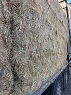 Weidehooi voordroog kuilbalen ronde balen vierkant paarden, Ophalen, Vee