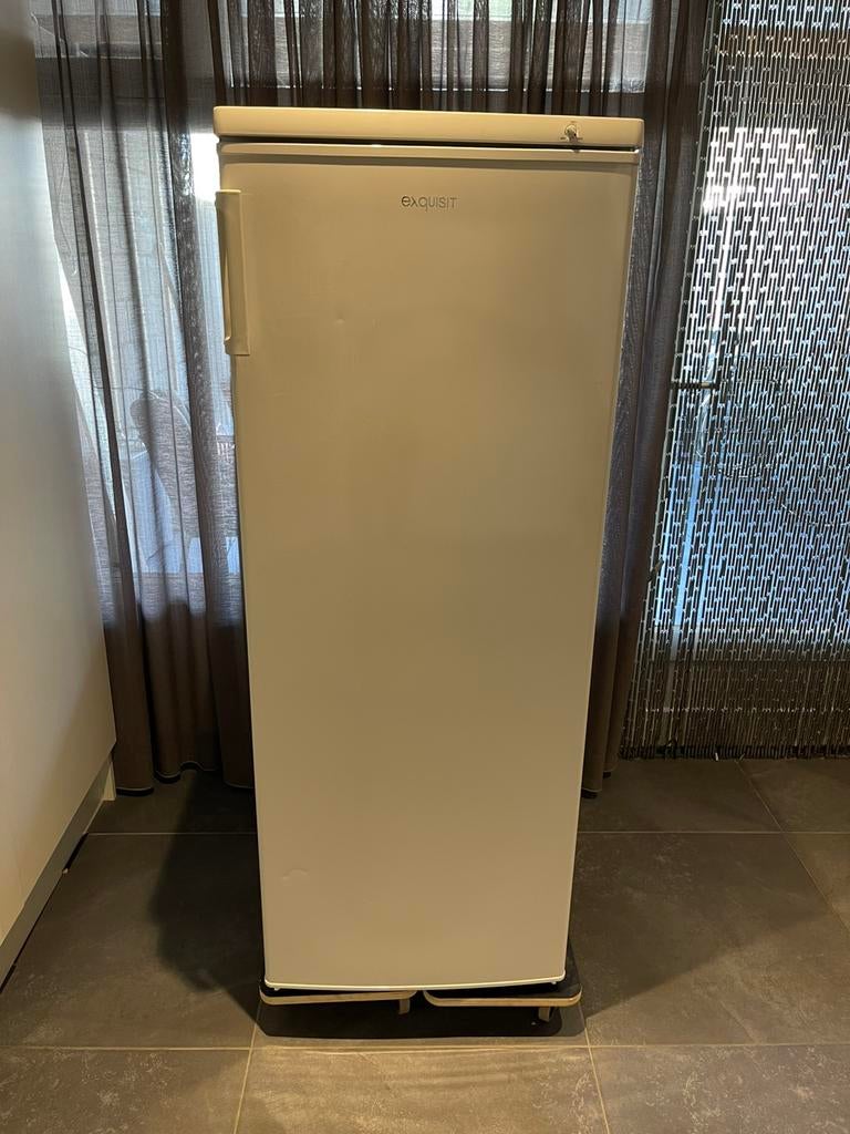 Exquisit Diepvries Vrieskist Vriezer Vrieskast Koelkast, Ophalen, Zo goed als nieuw, Minder dan 60 cm