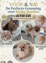 Honden trimmen, Ophalen of Verzenden, Zo goed als nieuw, Honden