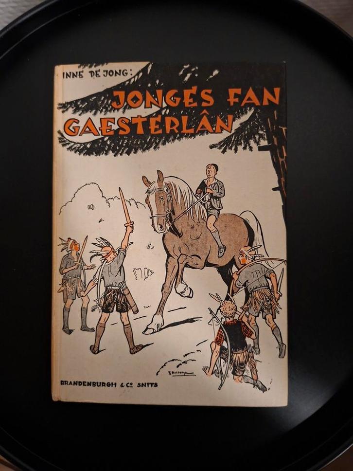 Jonges fan Gaesterlân - Inne de Jong (1960), Boeken, Kinderboeken | Jeugd | onder 10 jaar, Gelezen, Fictie algemeen, Ophalen of Verzenden
