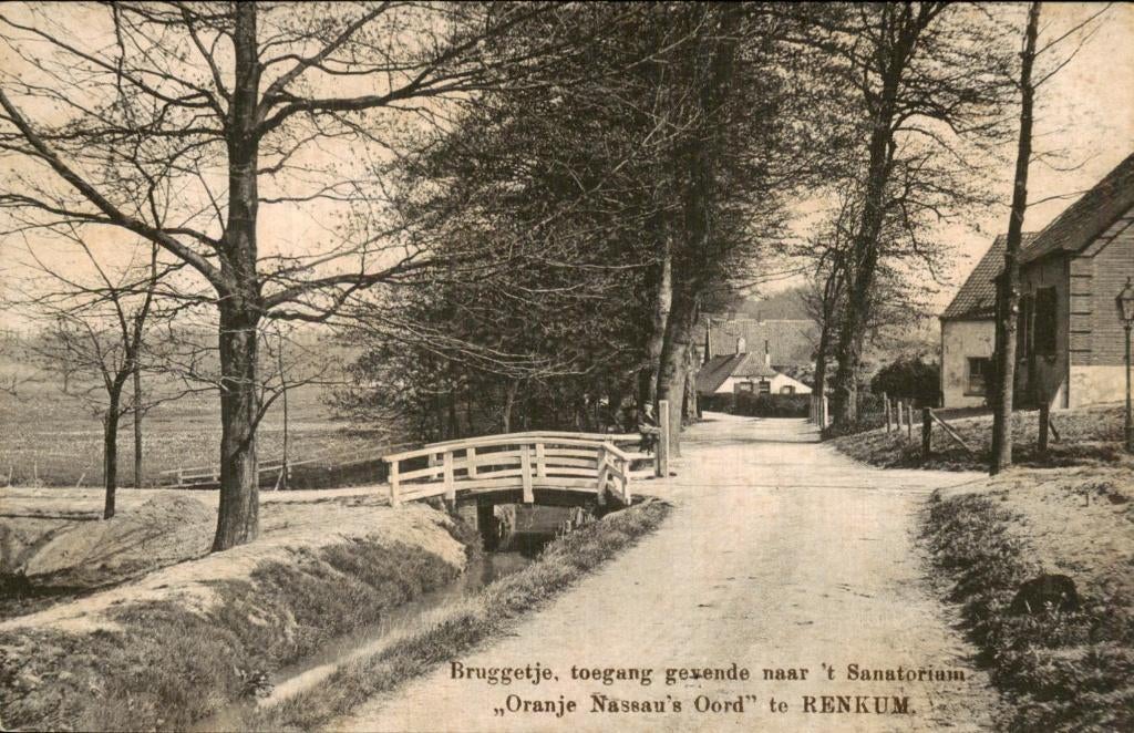 Renkum - Bruggetje - Oranje Nassau Oord, Ophalen of Verzenden, Voor 1920, Ongelopen, Gelderland