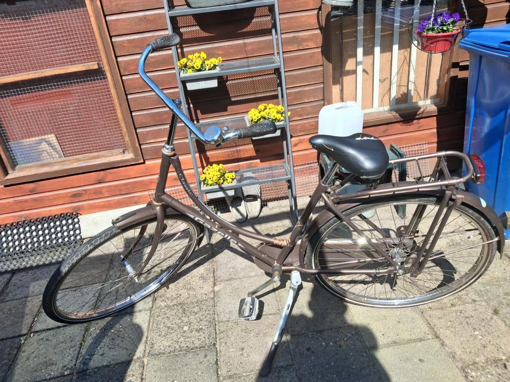 Stevige stationsfiets met terugtraprem - Gazelle, Fietsen en Brommers, Terugtraprem, Ophalen of Verzenden, Gazelle, 53 tot 56 cm