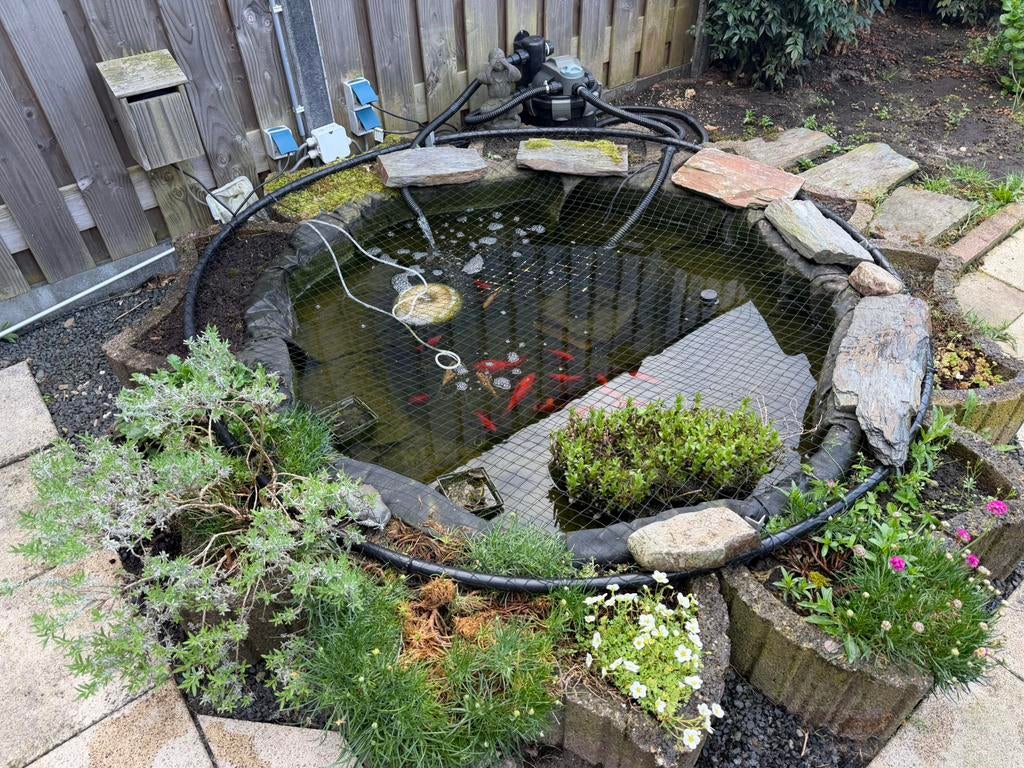 Complete vijver met vissen + NIEUWE pomp, Tuin en Terras, Vijvers, Ophalen, Gebruikt
