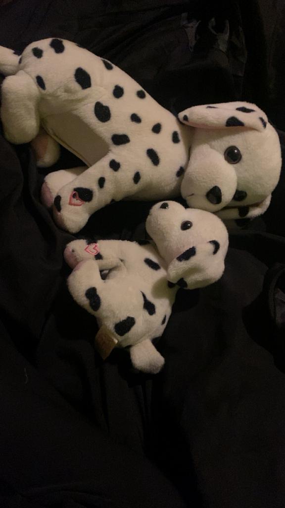 2 leuke honden knuffels, Overige merken, Met geluid, Overige karakters, Zo goed als nieuw