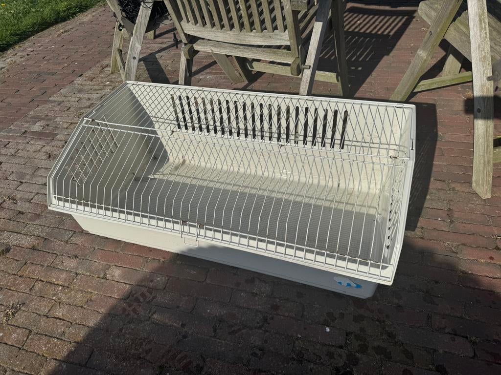 Cavia/konijn/kuiken hok, Kooi, Zo goed als nieuw, Rat, 75 tot 110 cm