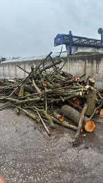 Haardhout, 6 m³ of meer, Ophalen of Verzenden, Elzenhout, Stammen