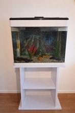 Aquarium met meubel, Dieren en Toebehoren, Ophalen, Leeg aquarium