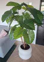 Grote kunstplant Alocasia 140 cm hoog (zonder pot), Ophalen, Volledige schaduw, Overige soorten, In pot
