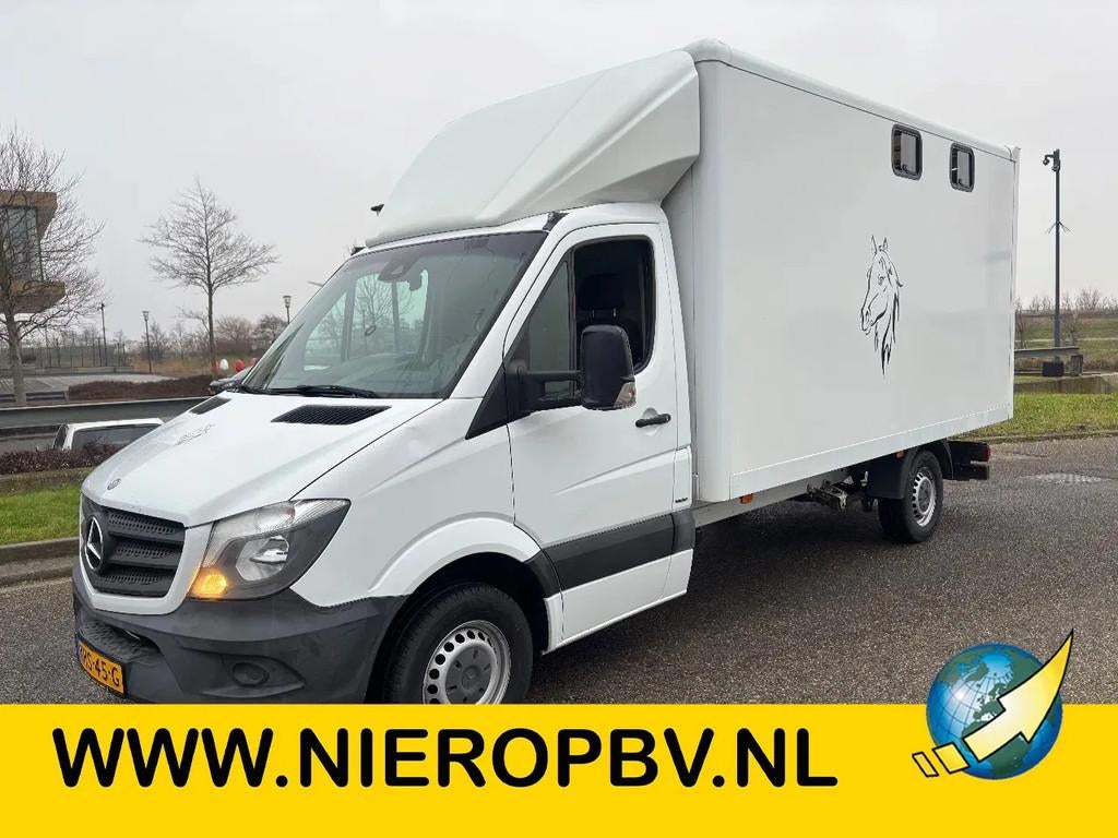 Mercedes-Benz Sprinter 316CDI Paardenwagen/schapen pony's/ e, Dieren en Toebehoren, Paarden en Pony's | Trailers en Aanhangwagens