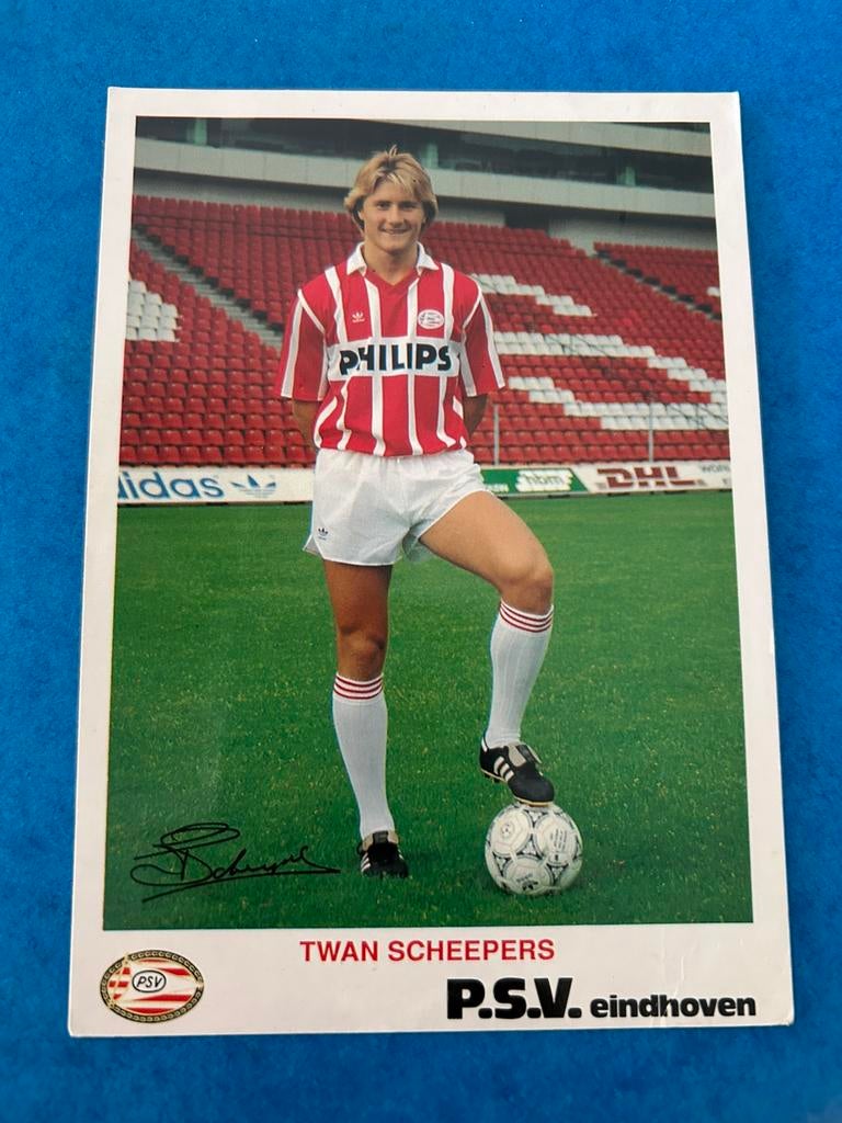 Twan Scheepers spelerskaart, Verzenden, Zo goed als nieuw, PSV, Spelerskaart