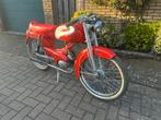 Zeldzame Terrot BB2 SP brommer uit 1957 - Project, Ophalen, 2 versnellingen, Overige merken