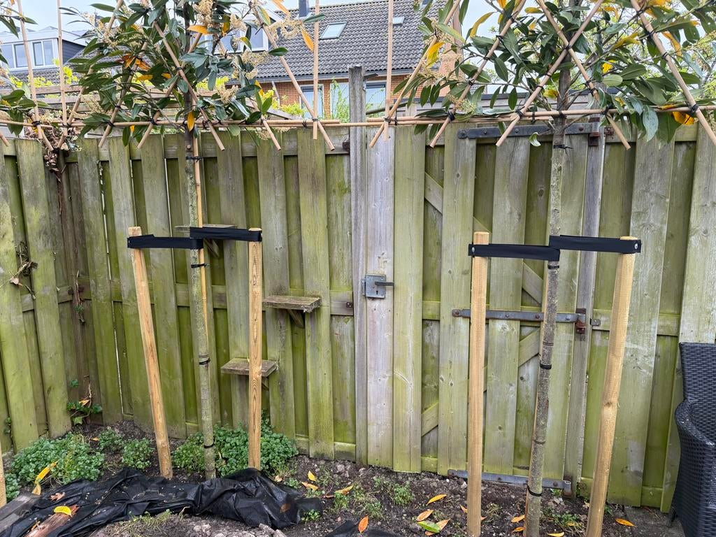 Schuttingdelen en poort van hout (gereserveerd), Ophalen, 3 tot 6 meter, Hout, 1 tot 2 meter