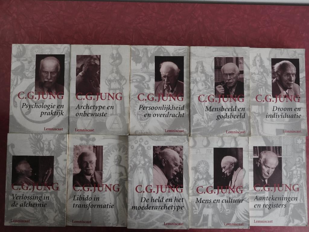 C.G. Jung  Verzameld Werk, Ophalen of Verzenden, Gelezen, Ontwikkelingspsychologie