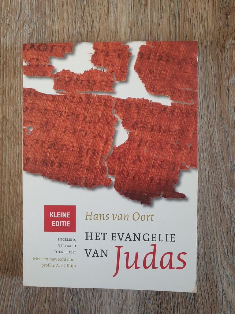 Hans van Oort - Het evangelie van Judas, Boeken, Ophalen of Verzenden, Hans van Oort