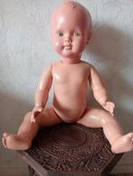 Wildebras pop  60 cm groot, Verzamelen, Ophalen of Verzenden, Pop