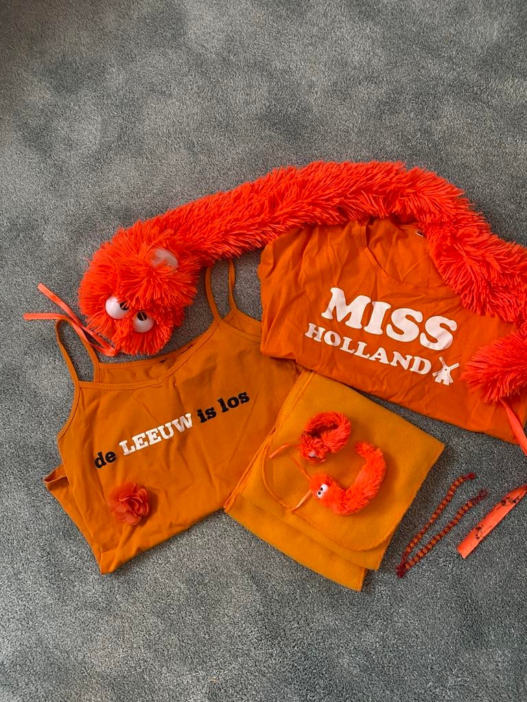 Supporter van Oranje pakket, Ophalen of Verzenden, Zo goed als nieuw, Maat 38/40 (M), Carnaval