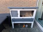 Konijn + hok gratis!, Dieren en Toebehoren, Konijnen, Mannelijk