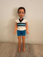 Barbie Todd (jaren’ ’90), Verzenden, Zo goed als nieuw, Pop