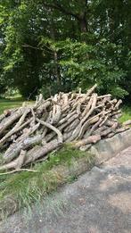 Partij droog hout. Nog te zagen voor de open haard, Minder dan 3 m³, Ophalen, Overige houtsoorten, Blokken