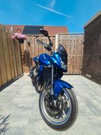 Kawasaki Z750 2009, Motoren, Motoren | Kawasaki, Particulier, Naked bike