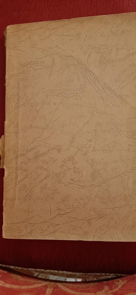 Schriftbeschouwingen, ds. H. Hoekstra, Boeken, Godsdienst en Theologie, Gelezen, Christendom | Protestants, Ophalen of Verzenden