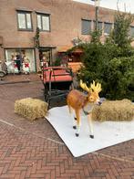 Arrenslee arreslee, Ophalen