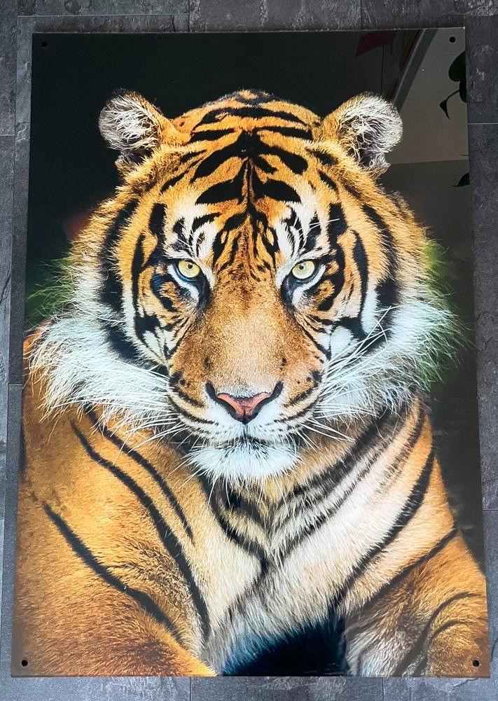 Tijger op plexiglas, Huis en Inrichting, Woonaccessoires | Schilderijen, Tekeningen en Foto's, Zo goed als nieuw, Foto of Poster