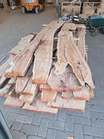 Taxus planken / schaaldelen beschikbaar voor biedingen