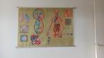 Vintage schoolplaat Hahnemann biologie mens 163 x 115 cm, Antiek en Kunst, Ophalen of Verzenden, Natuur en Biologie
