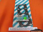 Koppakking Opel Fiat Alfa 1,3Jtd cdti PAYEN, -, -, Nieuw, Ophalen of Verzenden