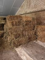Kleine Stro Balen te Koop, Dieren en Toebehoren, Stalling en Weidegang