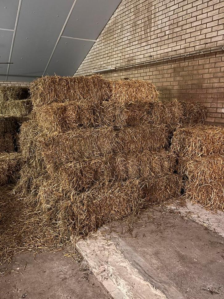 Kleine Stro Balen te Koop, Dieren en Toebehoren, Stalling en Weidegang