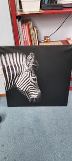 Zebra schilderij/ print, Ophalen of Verzenden