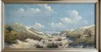 Duingezicht schilderij G.Cox, Antiek en Kunst, Ophalen of Verzenden