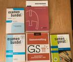 HAVO Geschiedenis Examenbundels & Samenvattingen, Ophalen of Verzenden, Gelezen, Overige niveaus, Diverse auteurs