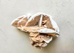 Edelsteen Woestijnroos met mica 6x3,5cm AFGEPRIJSD, Ophalen of Verzenden, Zo goed als nieuw