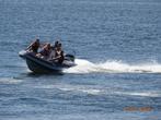 Infanta RIB met Evinrude 115 PK HO, 120 tot 200 pk, Zo goed als nieuw, Benzine, Overige materialen