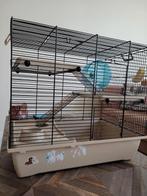 Gratis kooi voor chinese dwerghamster., Dieren en Toebehoren, Knaagdieren en Konijnen | Hokken en Kooien, Kooi, Gebruikt, Minder dan 75 cm