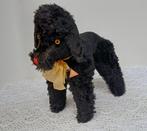 Mooie oude Clemens poedel, Ophalen of Verzenden