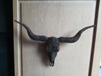 nieuwe bull skull / schedel vooor aan de muur, Ophalen of Verzenden, Nieuw