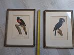 Set van 2 vintage vogelprenten, Ophalen of Verzenden