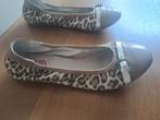 Ballerina's met panterprint maat 37 Blue Haven, Ophalen of Verzenden, Zo goed als nieuw, Blauw