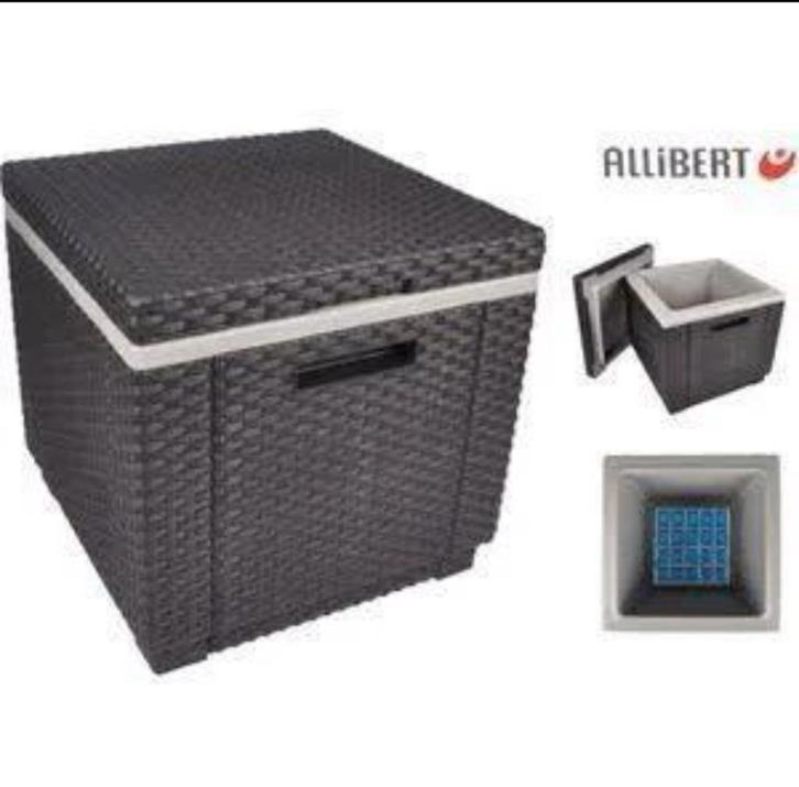 Allibert Ice Cube by Keter, Caravans en Kamperen, Koelboxen, Zo goed als nieuw, Koelbox, Koelelement, Ophalen of Verzenden