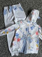 Lapin house joggingpak 5 jaar, Meisje, Ophalen of Verzenden, Zo goed als nieuw, Lapin House