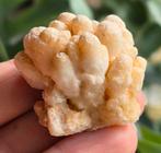 Aragoniet, Ophalen of Verzenden