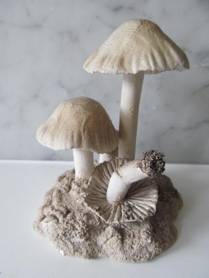 Paddenstoeltjes van keramiek, Antiek en Kunst, Curiosa en Brocante, Ophalen of Verzenden