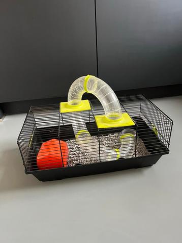 Dwerghamsterkooi, 50/25/21 cm beschikbaar voor biedingen